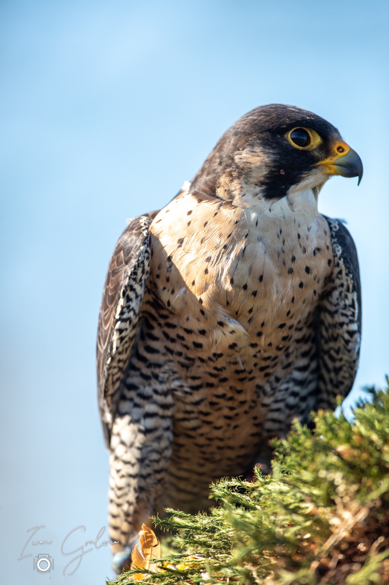 04 maart 2022 143626 1DX43555